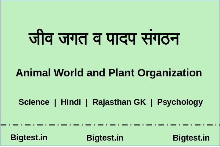 Animal World and Plant Organization