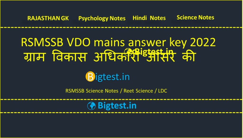 RSMSSB VDO mains answer key 2022