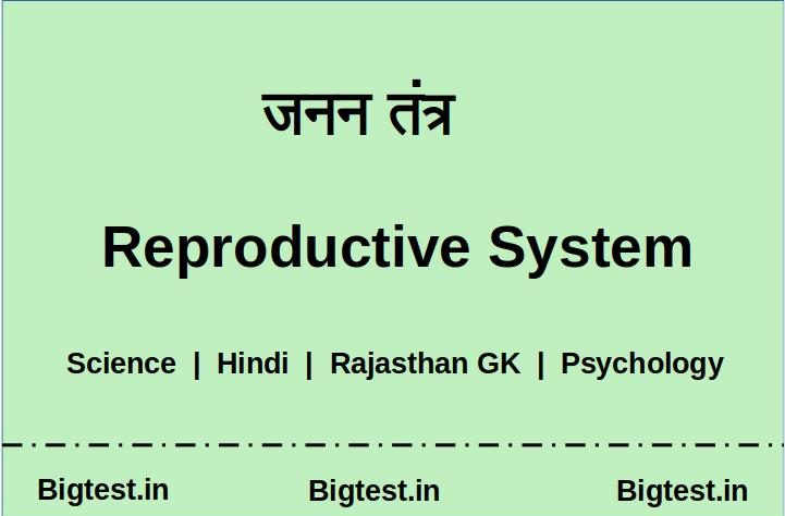 Reproductive System