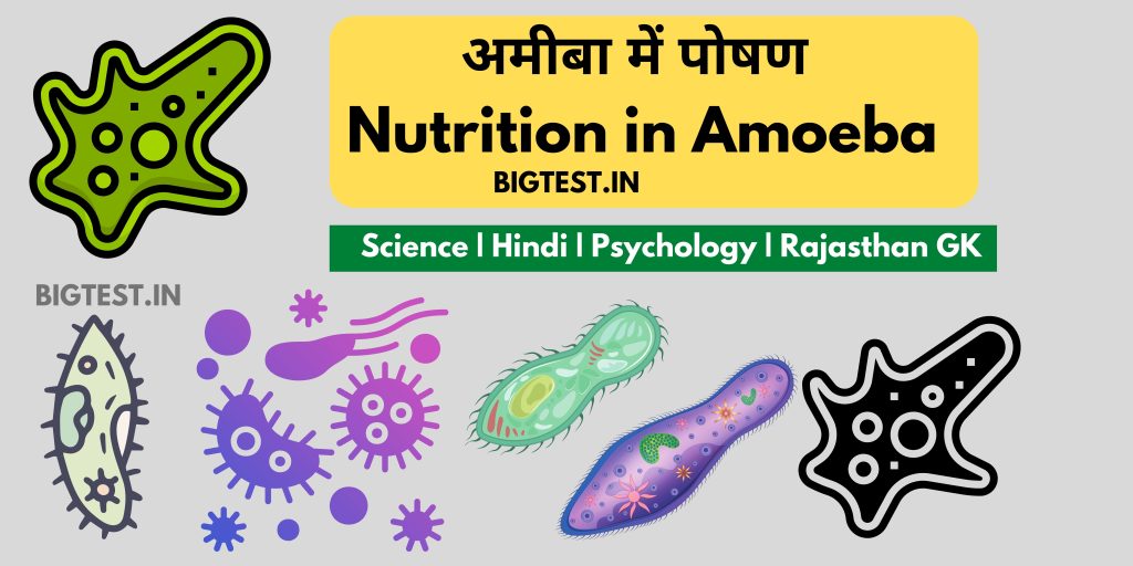 Nutrition in Amoeba