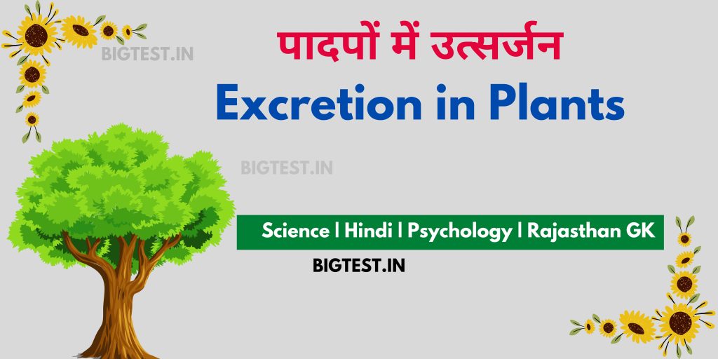 Excretion in Plants