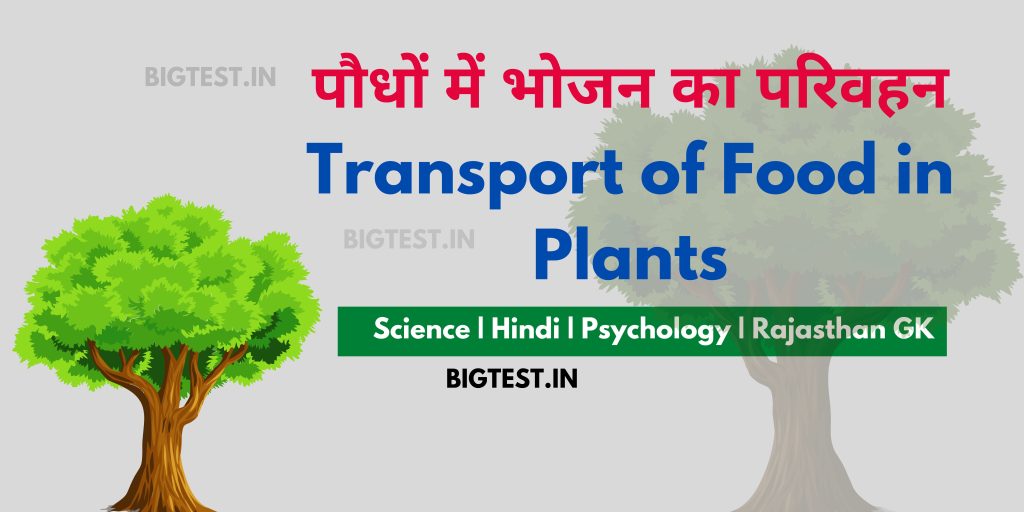 Transport of Food in Plants