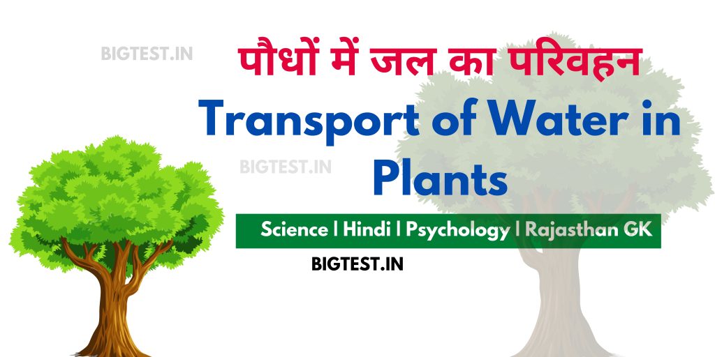 Transport of Water in Plants